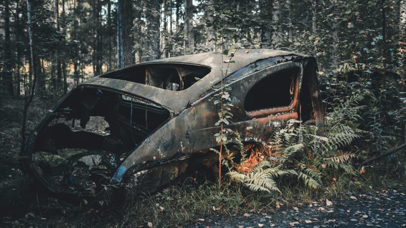 He Lost Everything at 53 and Started Over — Now at 55, His Social Security Statement Tells a Hard Truth